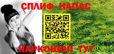 дурь Сланцы