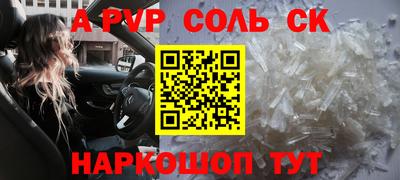 дурь Сланцы