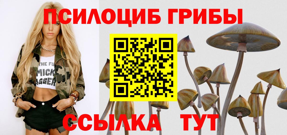 Борзя  Псилоцибиновые грибы ЛСД  Вход с VPN 